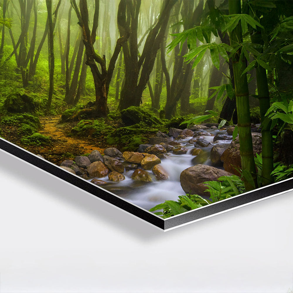 Lush green forest through mist with a stream and rocks, perfect for modern frameless wall art.