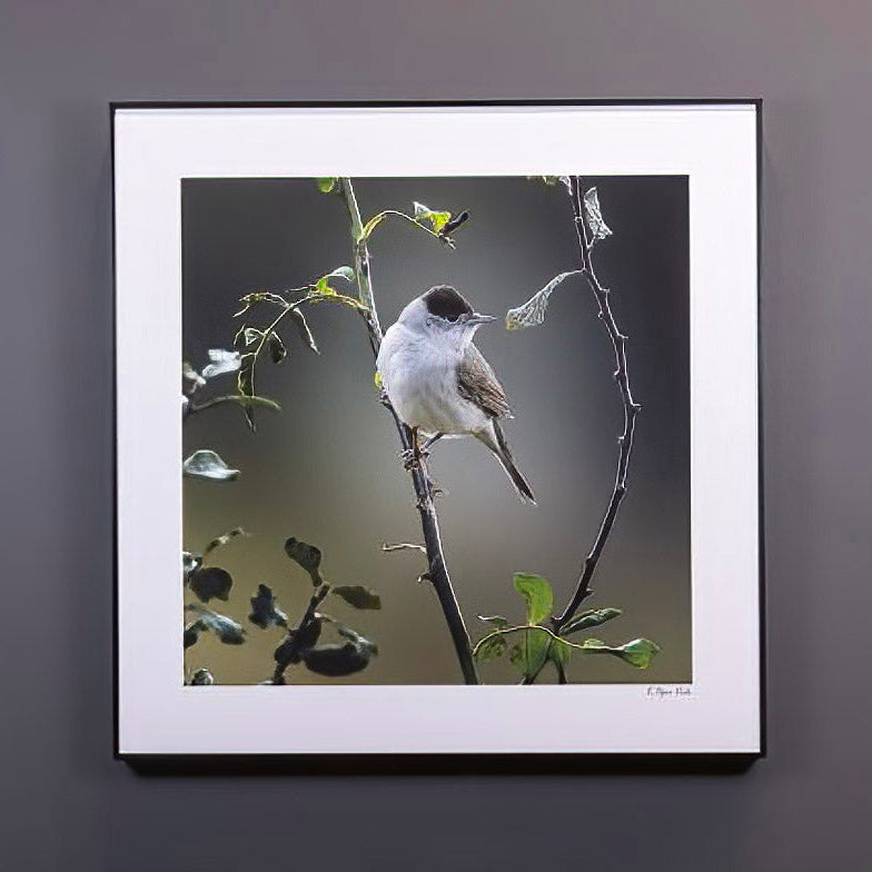 Wooden Art box Frame