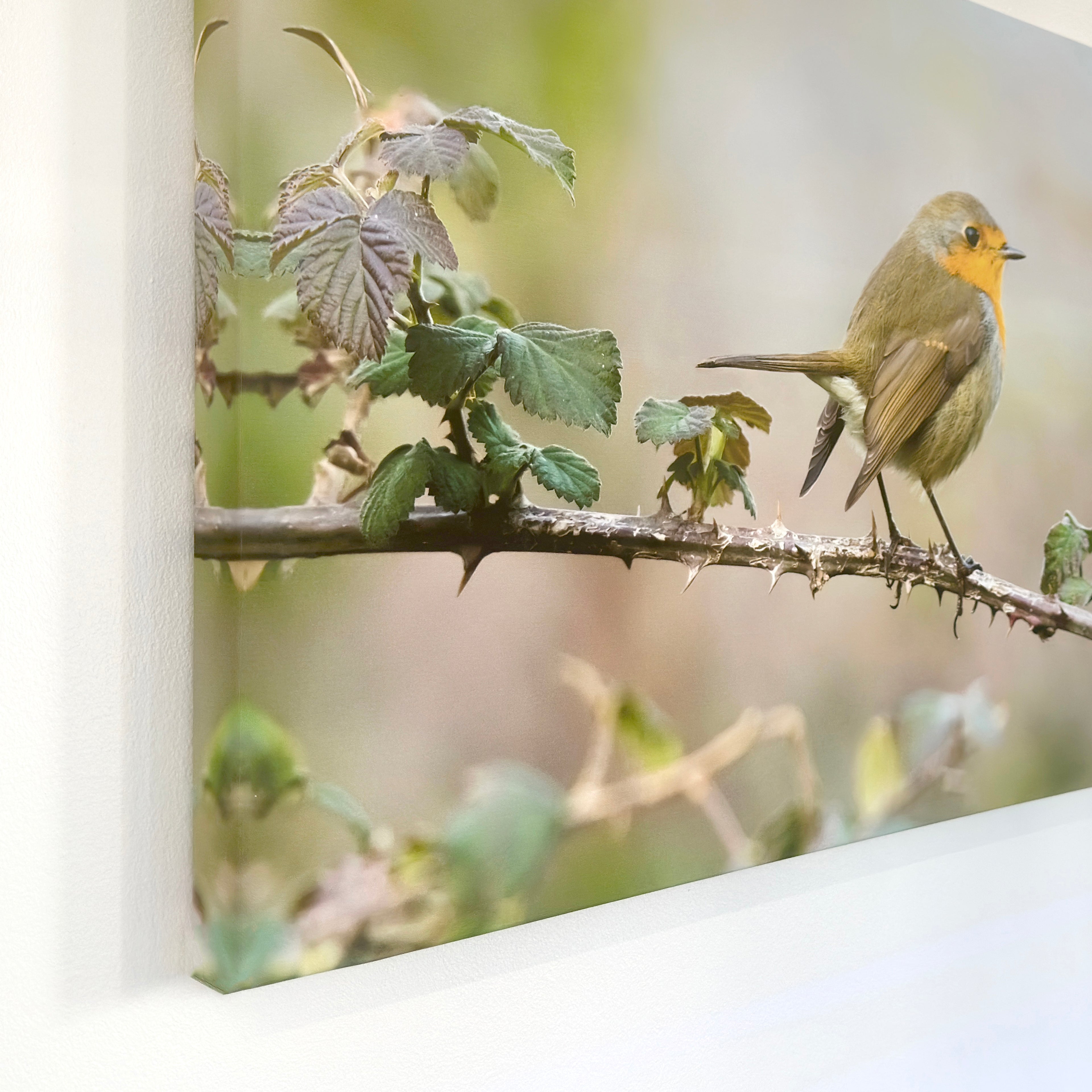 Canvas Print – Museum-Quality Wall Art