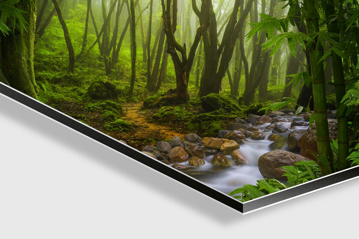 Dibond Print — Fine Art Wall Print -Giftlyartprint