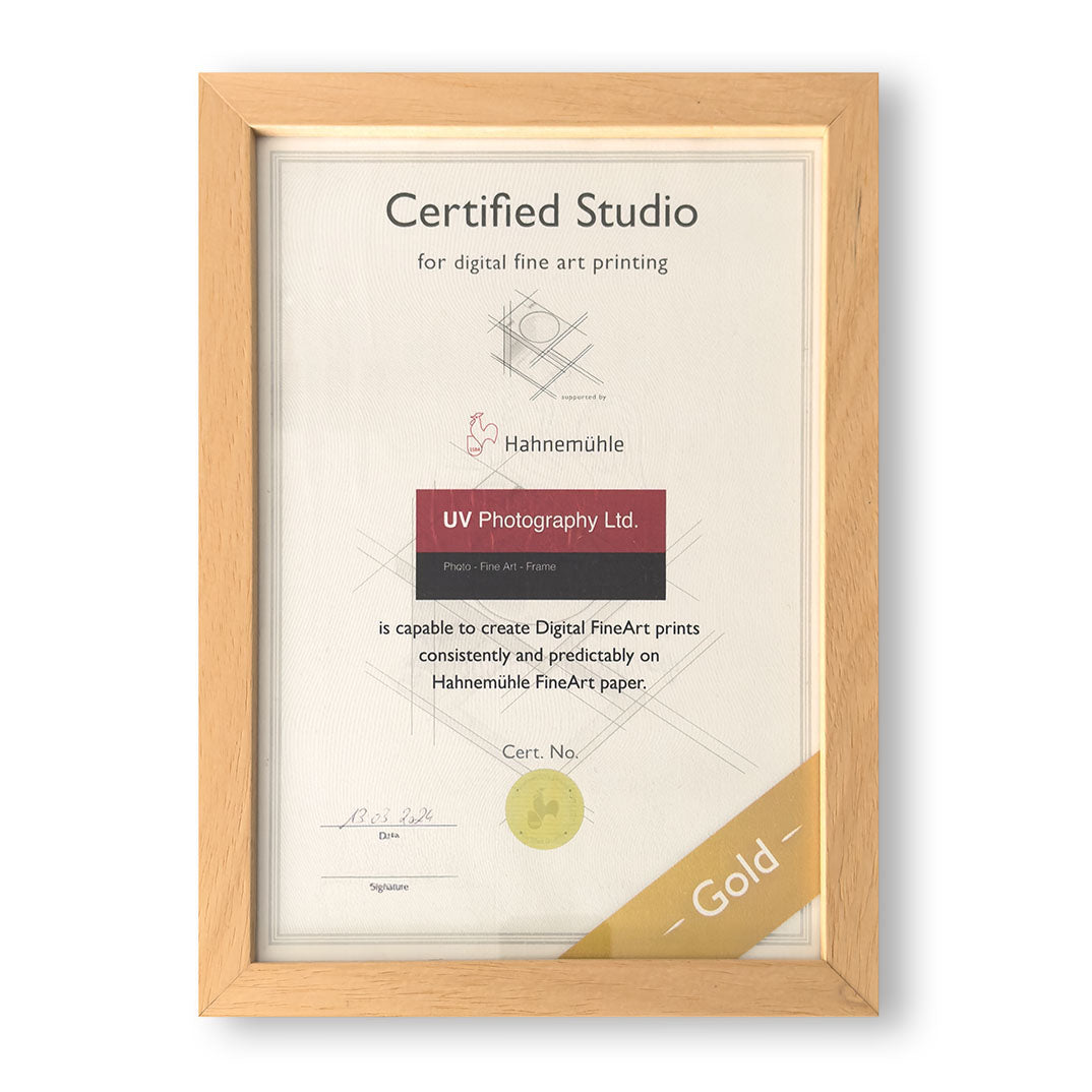 Hahnemühle Fine Art Print – Museum Quality Giclée Printing