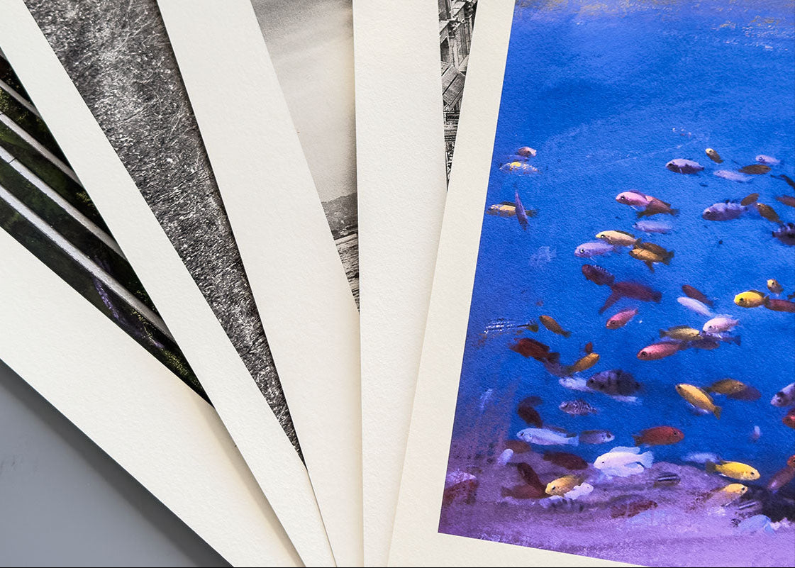 Hahnemühle Fine Art Print – Museum Quality Giclée Printing