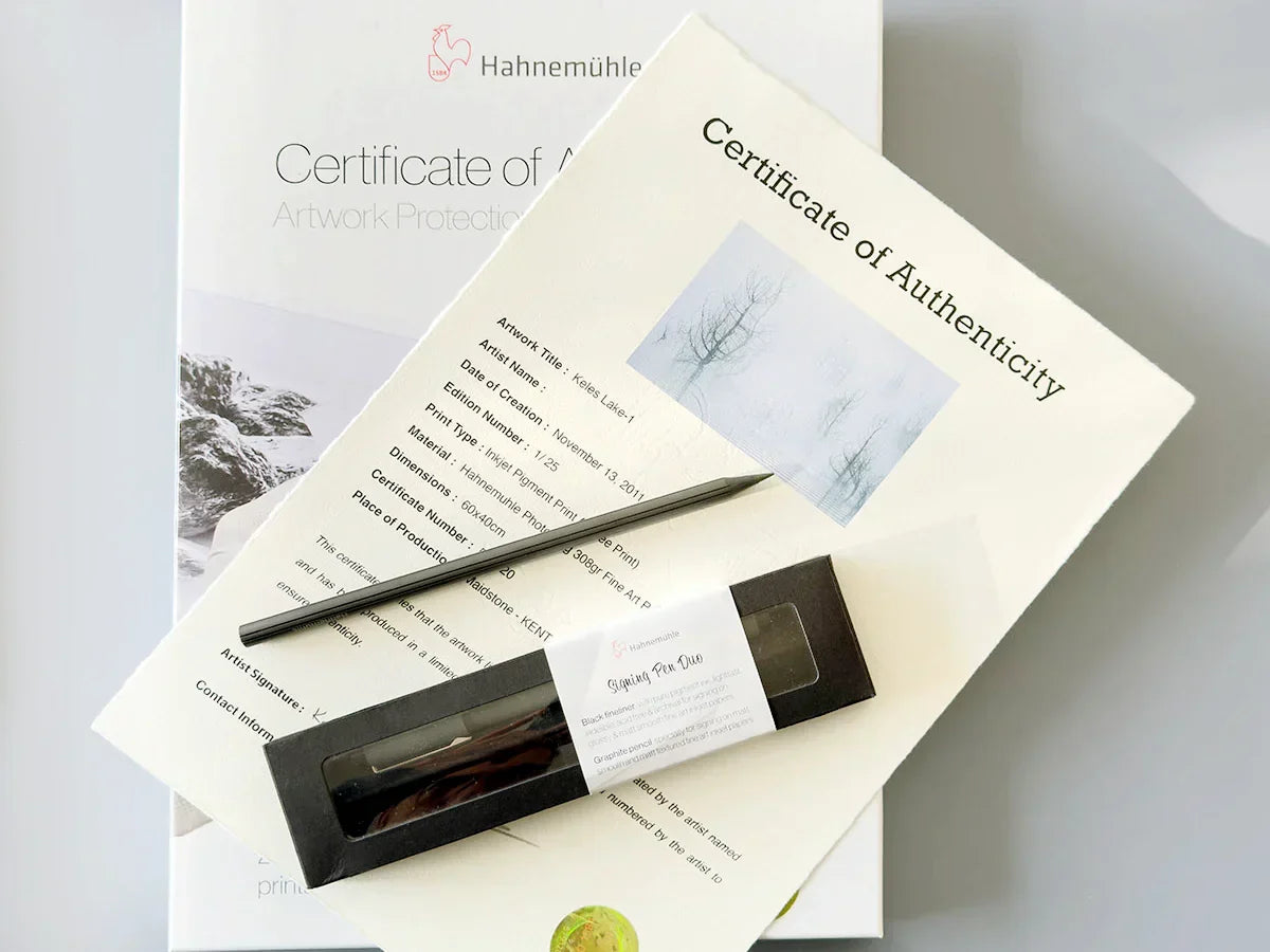 Print Edition Strategies in the Art Market: Managing Limited Editions and Exclusivity