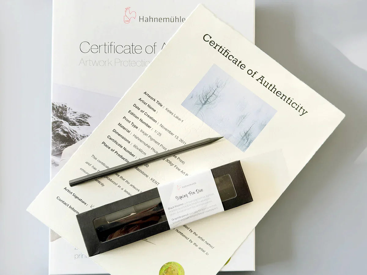 Print Edition Strategies in the Art Market: Managing Limited Editions and Exclusivity