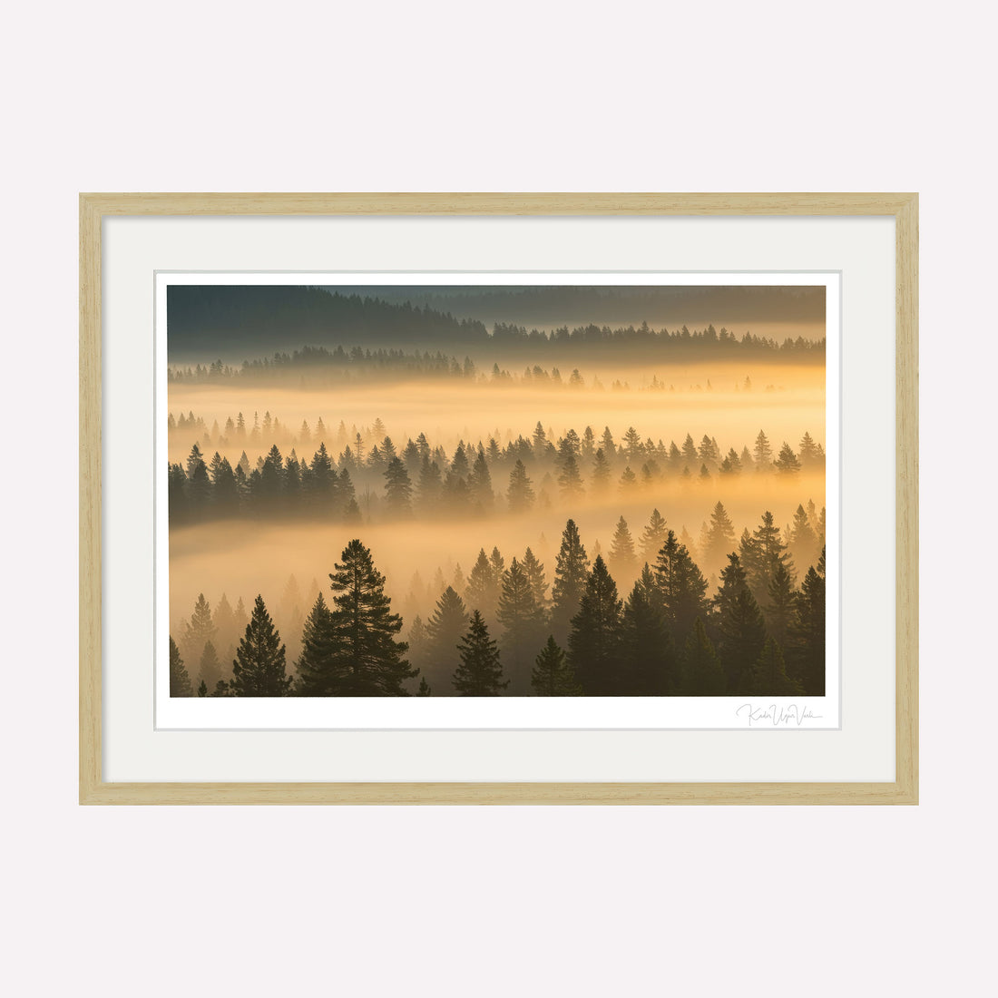 Misty Forest Wall Art Print – Golden Hour Pine Tree Landscape