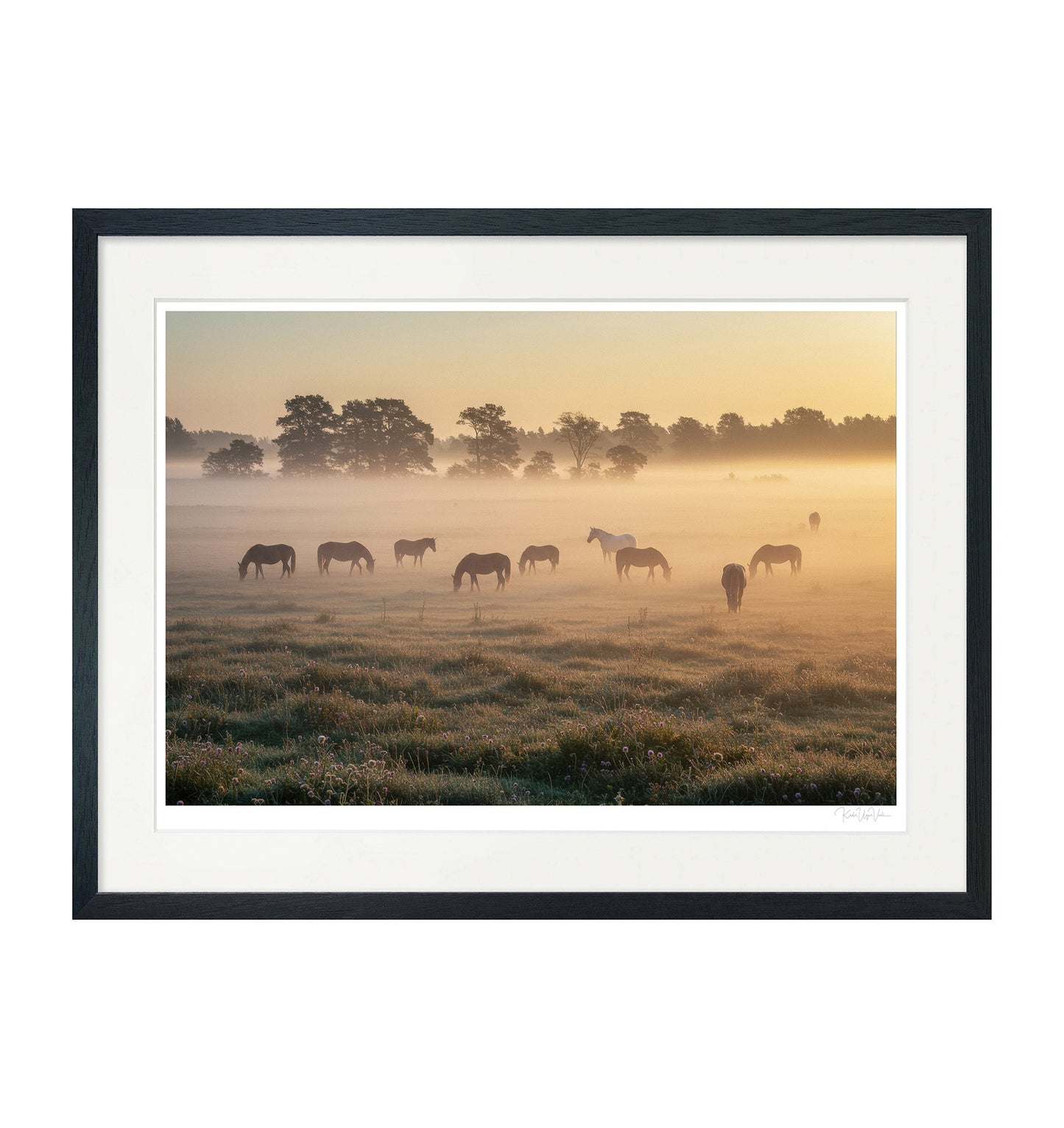 Fine Art Printed Gallery Frame – Museum Quality Wall Art