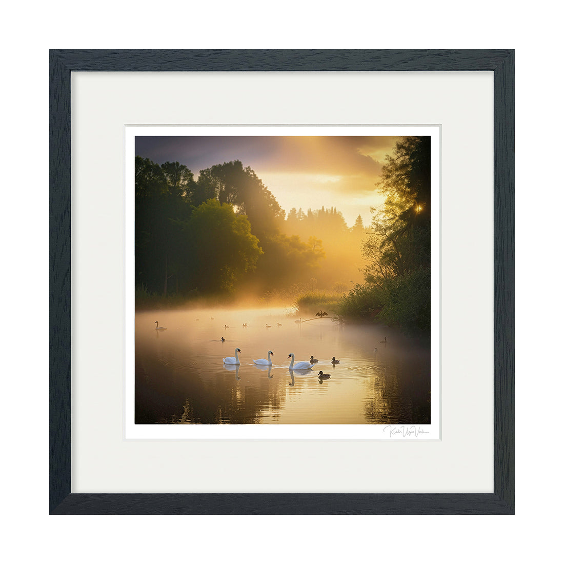 Golden hour swans on misty lake – square generative art print framed in black wood with white mount