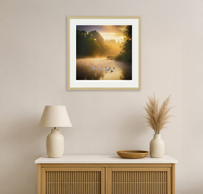 Framed square artwork of swans on a glowing morning lake – natural wood frame wall art mockup