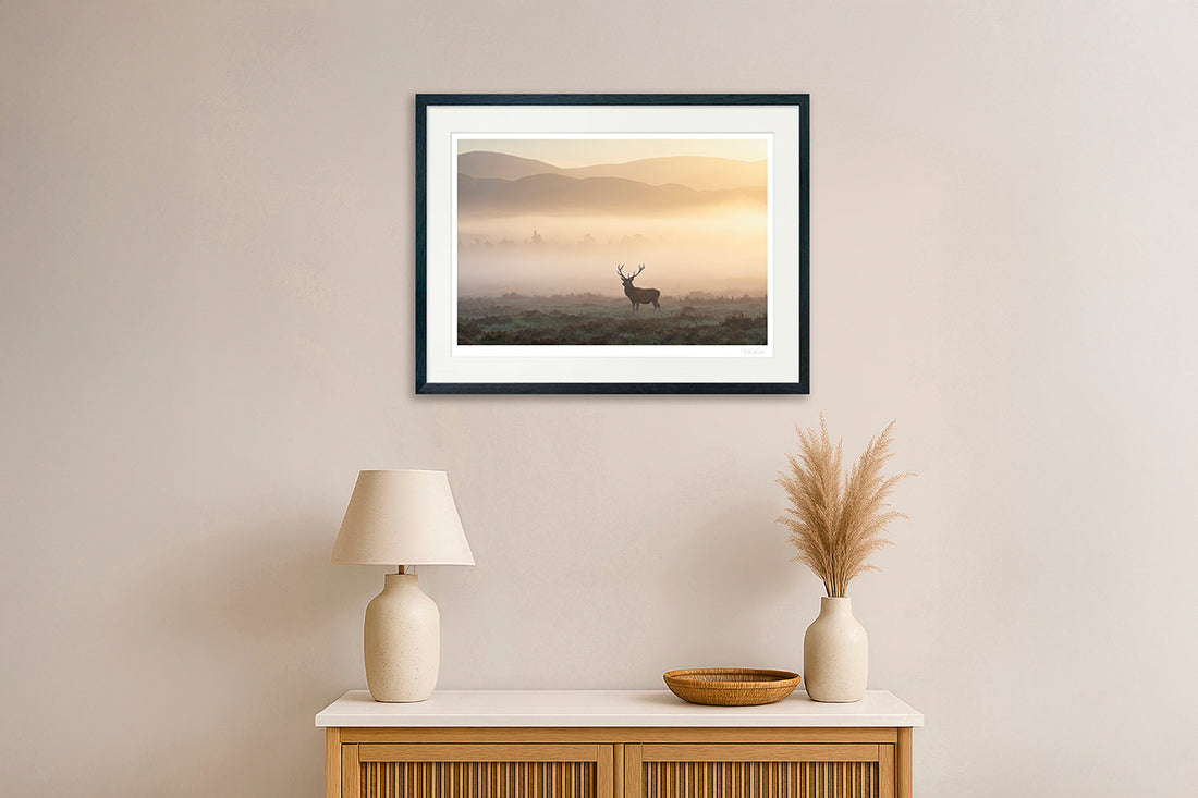Fine Art Printed Gallery Frame – Museum Quality Wall Art