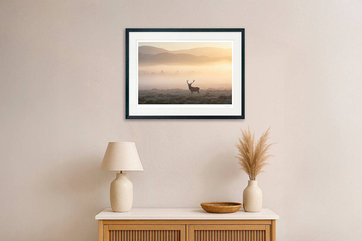 Fine Art Printed Gallery Frame – Museum Quality Wall Art