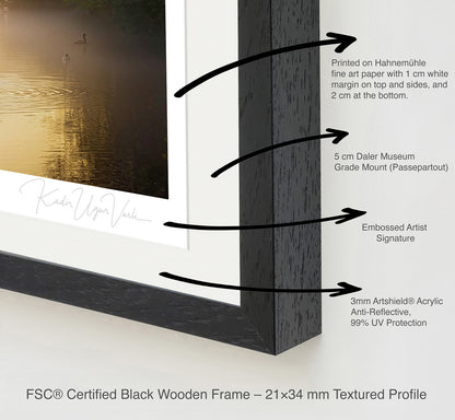 Detail of black wooden frame with 5 cm mount and anti-reflective acrylic on swan lake art print