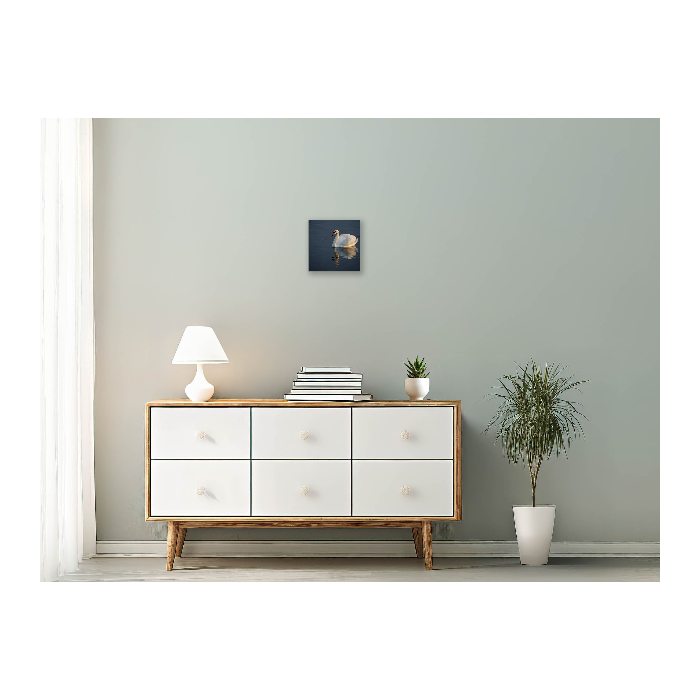 Giclee Photo Prints