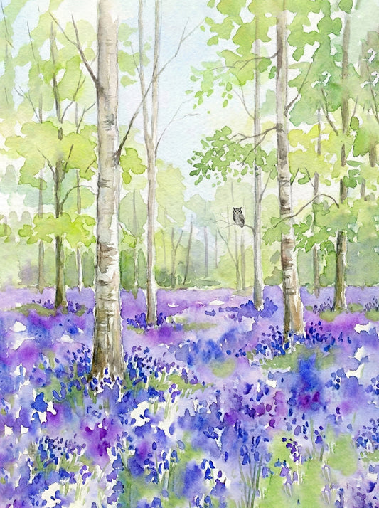 Bluebell Woodland & Silver Birch — British Spring Watercolour Fine Art Print