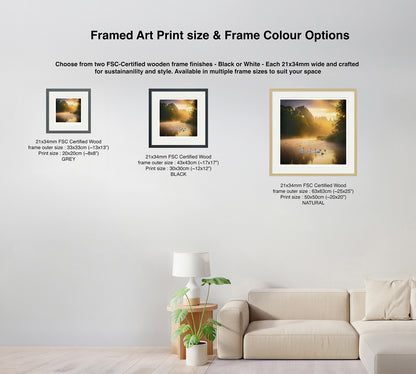 Size and frame colour options guide for square golden hour swan lake art print – black, grey and natural FSC-certified frames