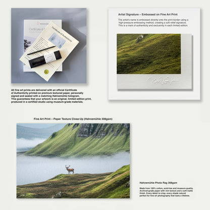 Hahnemühle Photo Rag paper texture detail, authenticity certificate, and archival museum-quality materials.