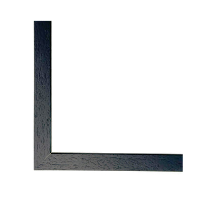 Black Ash frame