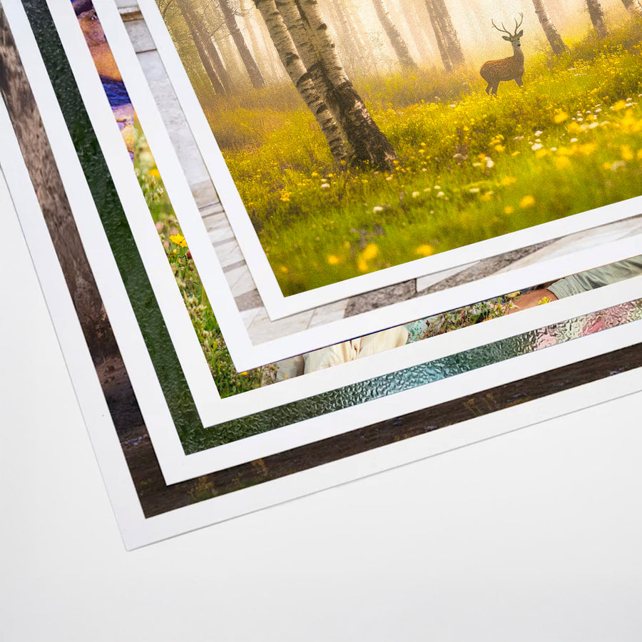 Fine Art Prints