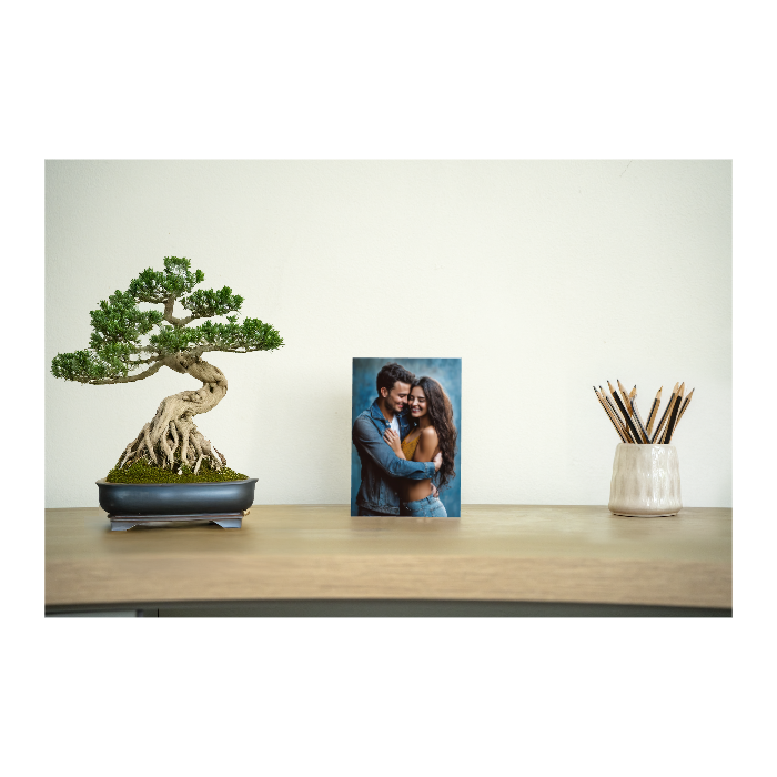 Aluminium desk frame with photo of a couple, bonsai tree, and pencil holder on a modern wooden desk.