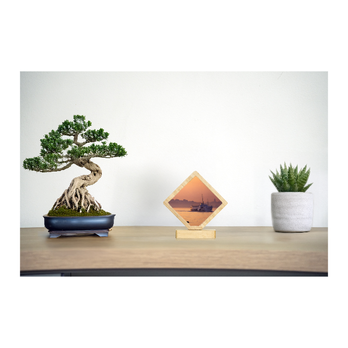 Bamboo Desk Frame