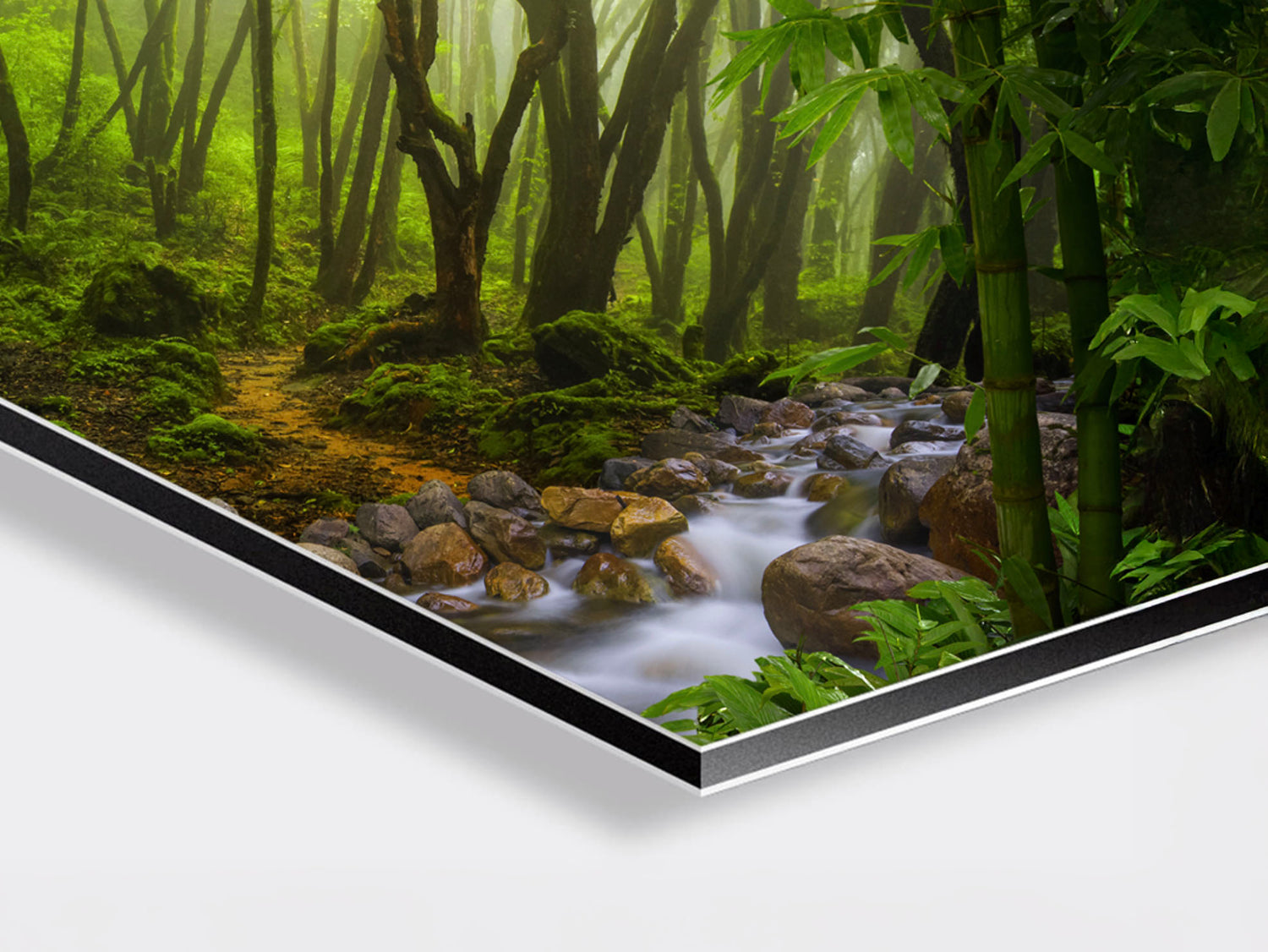 Print on Dibond – Premium Aluminium Composite Wall Art