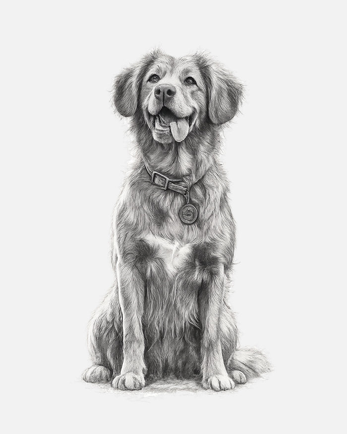 Pet Portrait effect