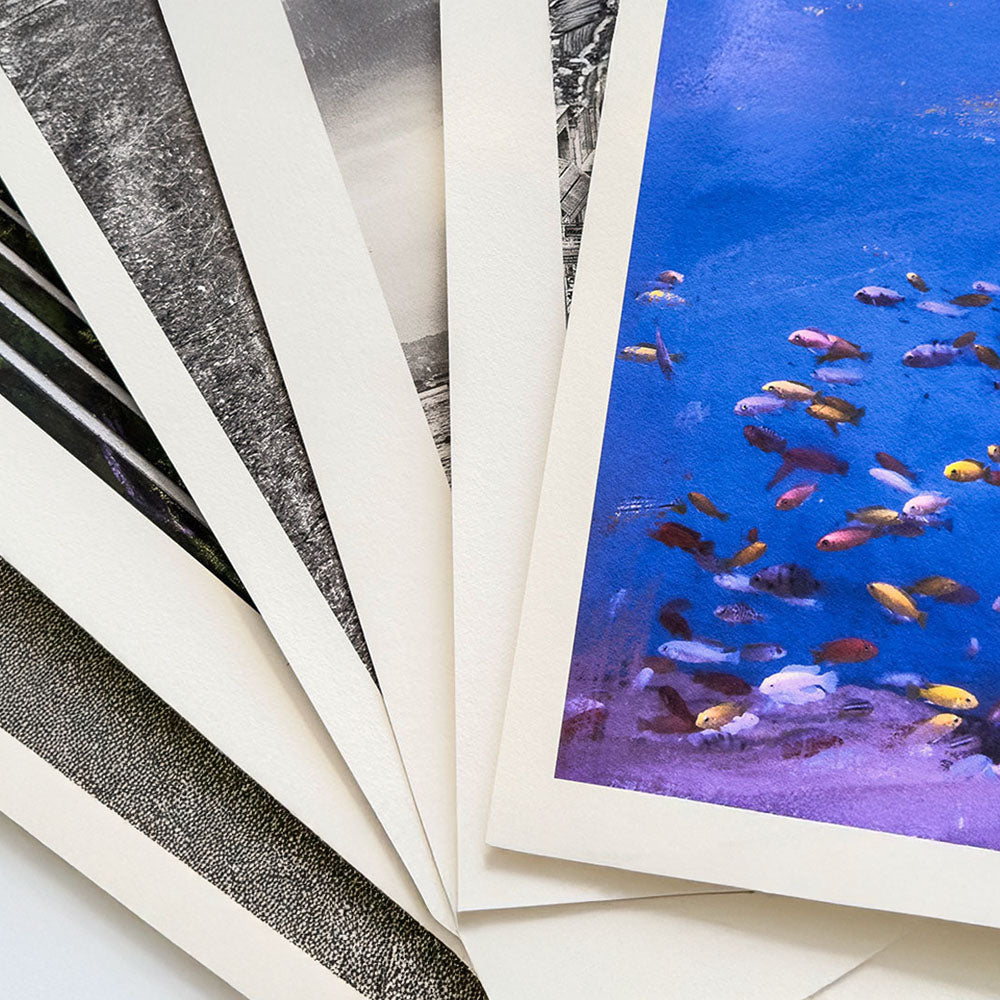 Giclee Fine Art Prints