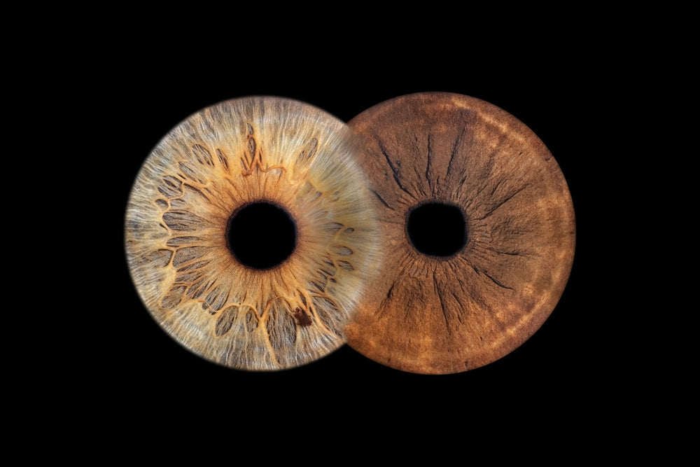 Infinity iris composition
