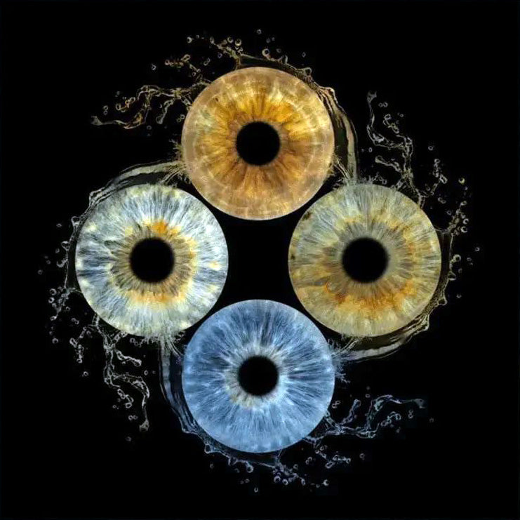 Iris