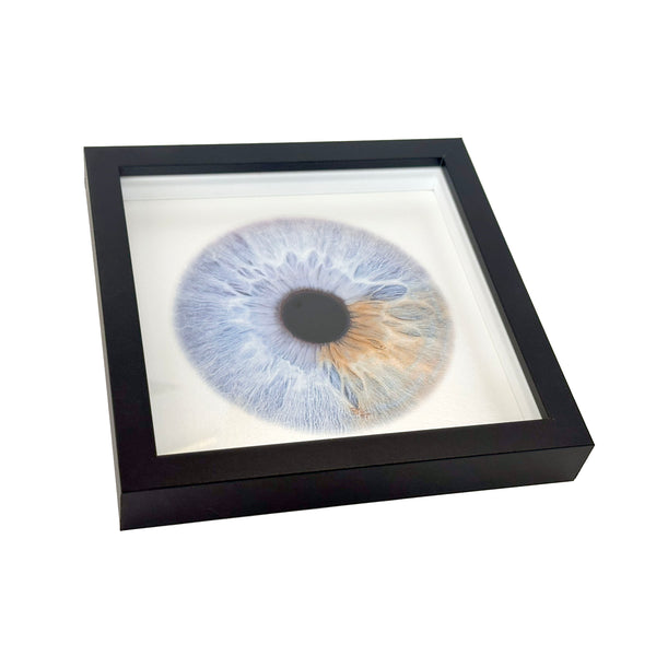 Desk Shadow Box Frame