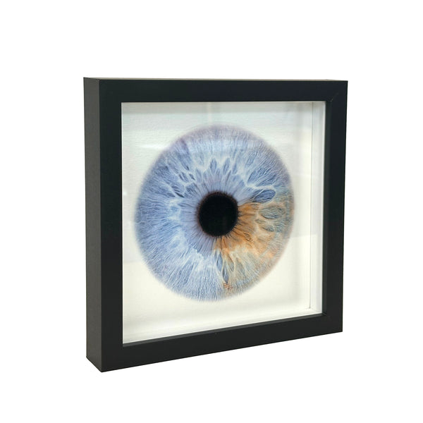 Desk Shadow Box Frame