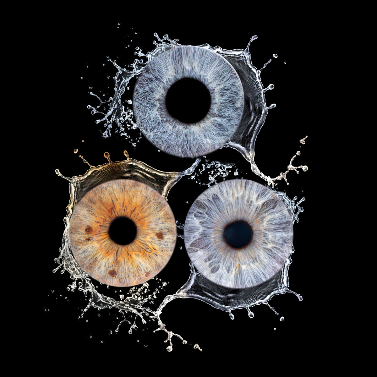 Iris Photography