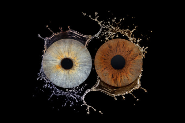 Iris Photography